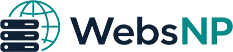 WebsNP Dedicated Servers & Hosting
