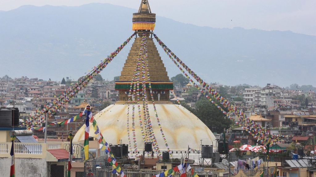 Guide: Booking-System Websites in Nepal: Appointments, Reservations, and Build vs Plugin