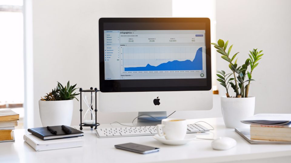 Guide: Client Portals and Admin Dashboards: Giving Your Business Staff Logins and Real Reports