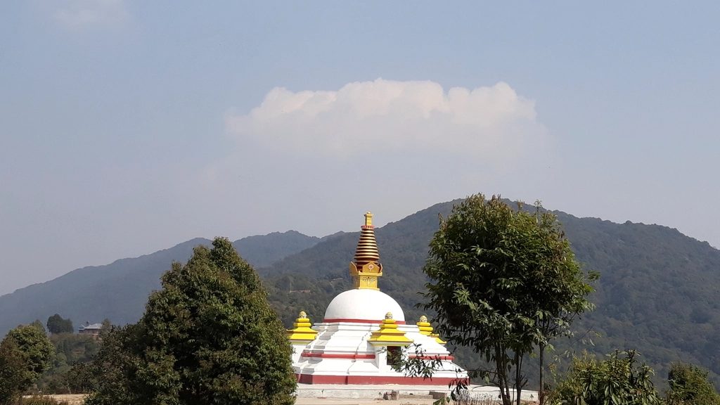 Guide: Google Business Profile + Your Website: The Local Combo That Wins in Nepal
